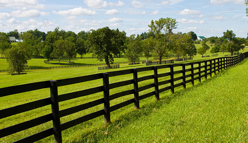 farm-fence-fencing-livestock-74134657